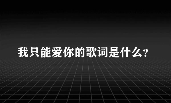 我只能爱你的歌词是什么？
