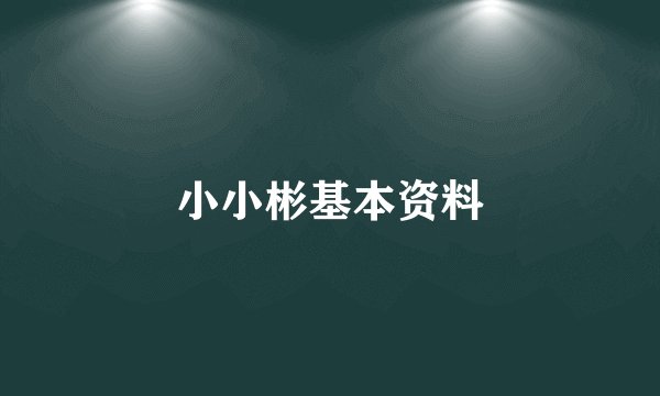 小小彬基本资料