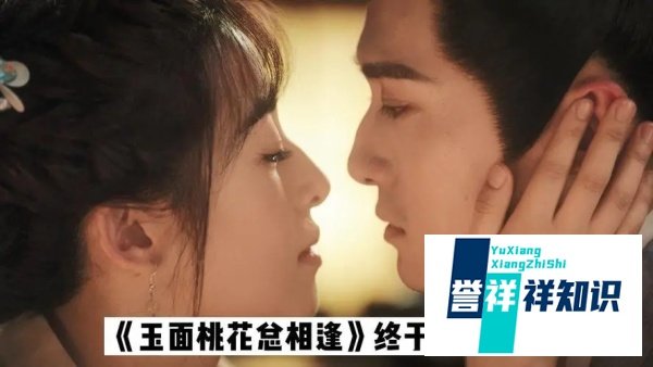 玉面桃花总相逢一共多少集