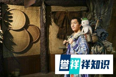 票房狂轰24.2亿，董子健赚翻了，井柏然成惊艳一笔