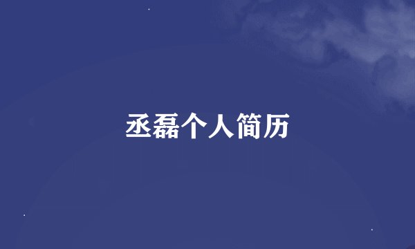 丞磊个人简历
