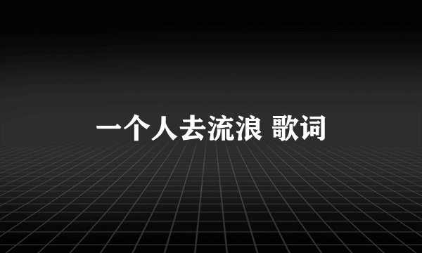 一个人去流浪 歌词