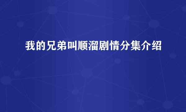 我的兄弟叫顺溜剧情分集介绍