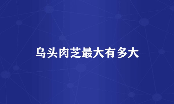 乌头肉芝最大有多大
