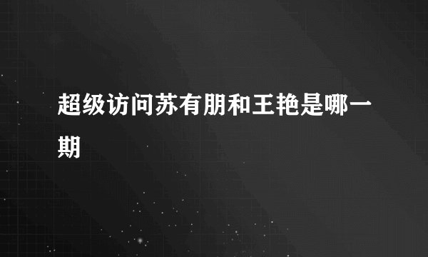 超级访问苏有朋和王艳是哪一期