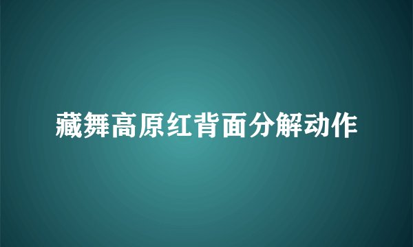 藏舞高原红背面分解动作