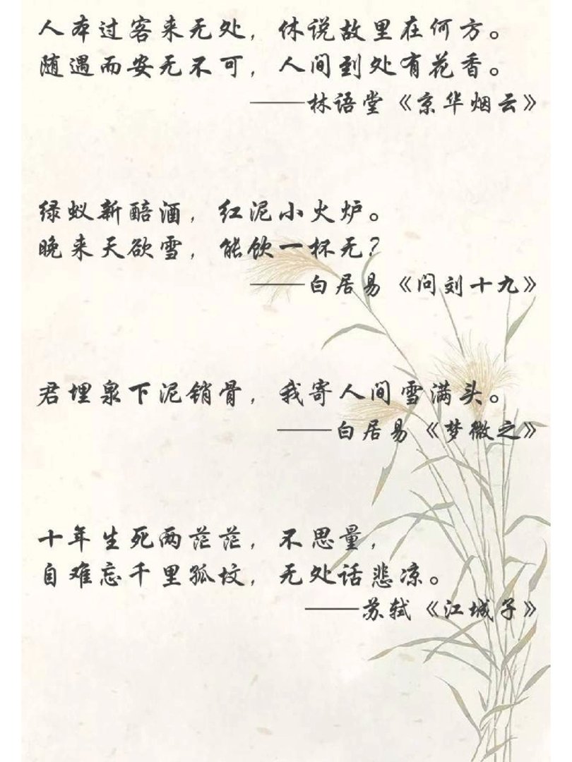 人间绝句:沉醉其中
