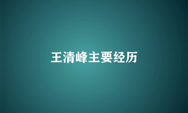 王清峰主要经历