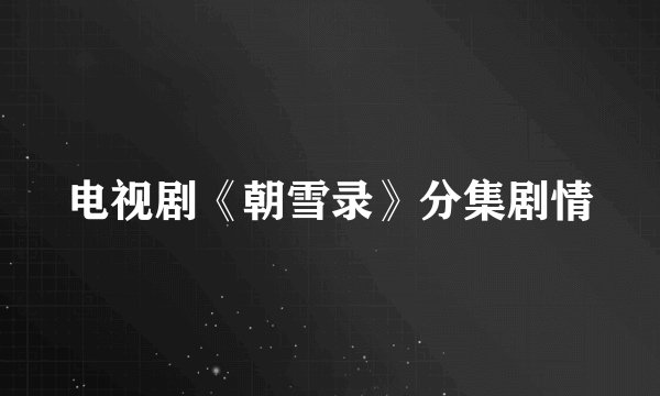 电视剧《朝雪录》分集剧情
