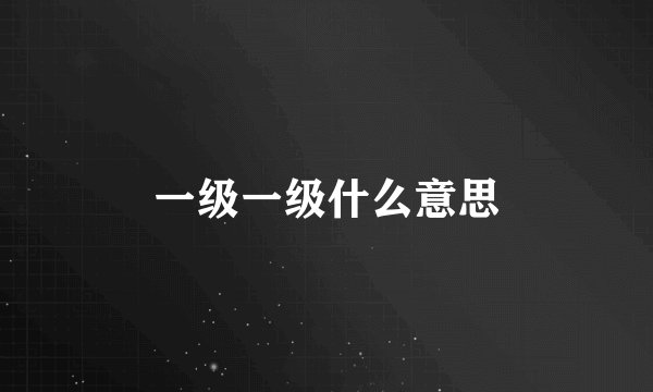 一级一级什么意思
