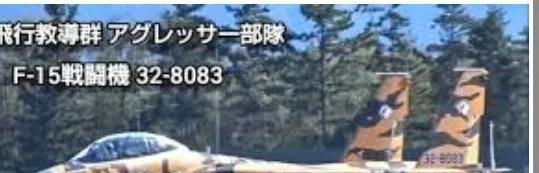 史无前例!日本战斗机降落欧洲基地这些担忧并非空穴来风，而是基于历史教训的合理警示。