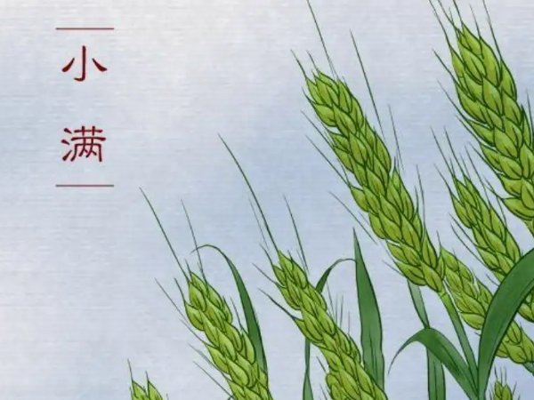 小满最美的十首诗词