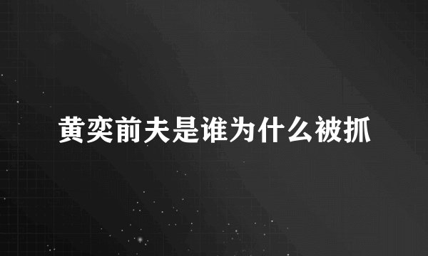 黄奕前夫是谁为什么被抓