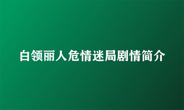 白领丽人危情迷局剧情简介