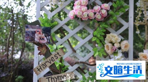 成都加盟婚庆公司需要多少钱