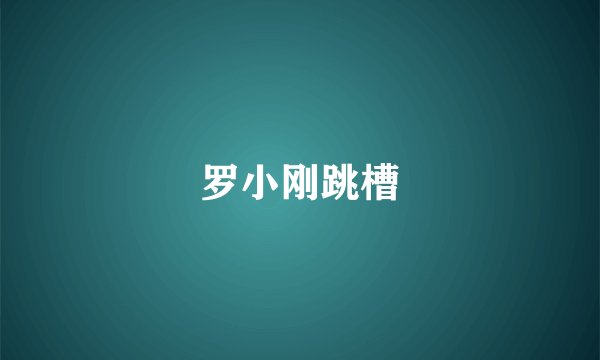 罗小刚跳槽