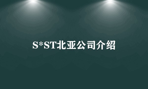 S*ST北亚公司介绍