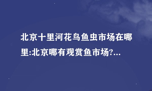 北京十里河花鸟鱼虫市场在哪里:北京哪有观赏鱼市场?咋坐车？