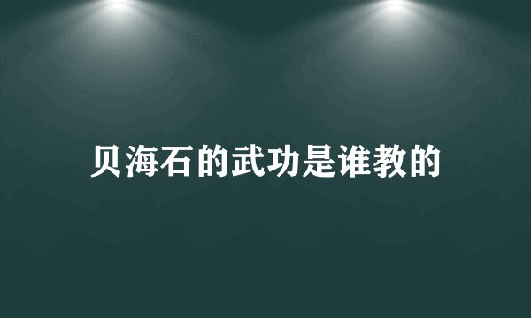 贝海石的武功是谁教的