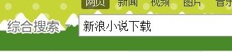 怎么在新浪上下载小说？
