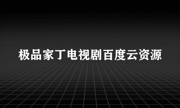 极品家丁电视剧百度云资源
