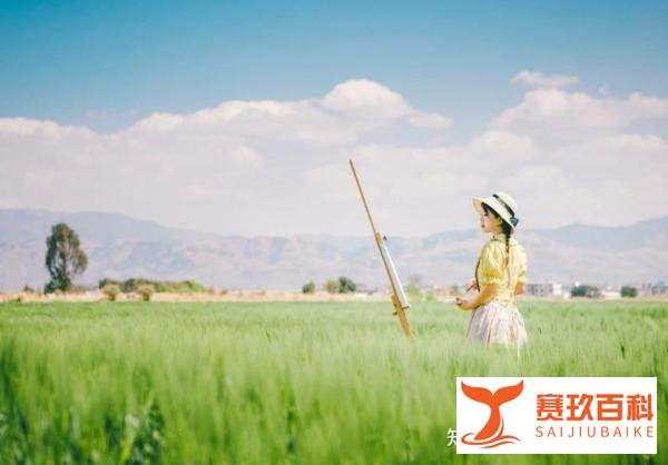 这届年轻人“断亲”或已成常态，那都是因为什么呢