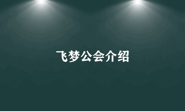 飞梦公会介绍