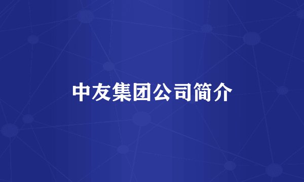 中友集团公司简介