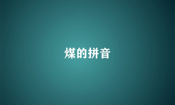 煤的拼音