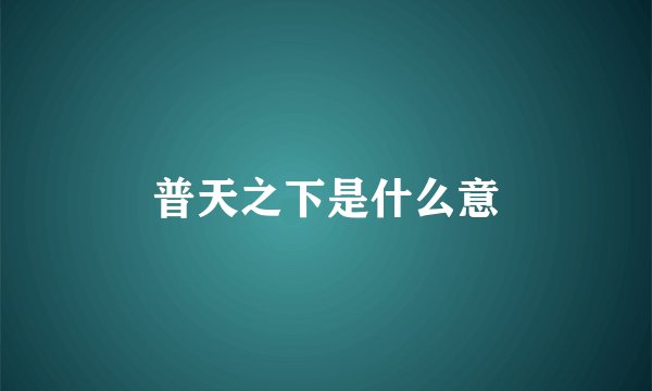 普天之下是什么意