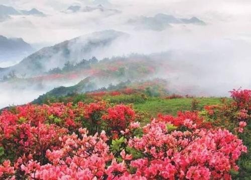 人间四月芳菲尽山,最美不过四月天什么意思？