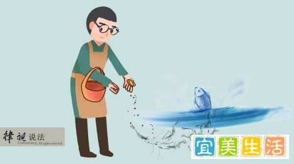 大学生回农村养虾，两年内被村民明目张胆的哄抢十次，法不责众吗？