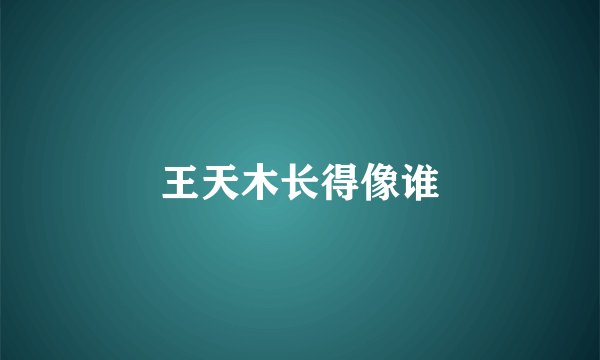 王天木长得像谁