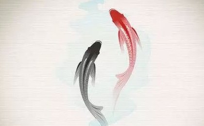 什么是幸运锦鲤？