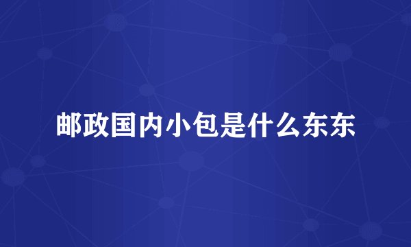 邮政国内小包是什么东东