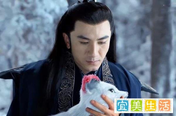 《恰似故人归》最爱纪云禾的,不是长意