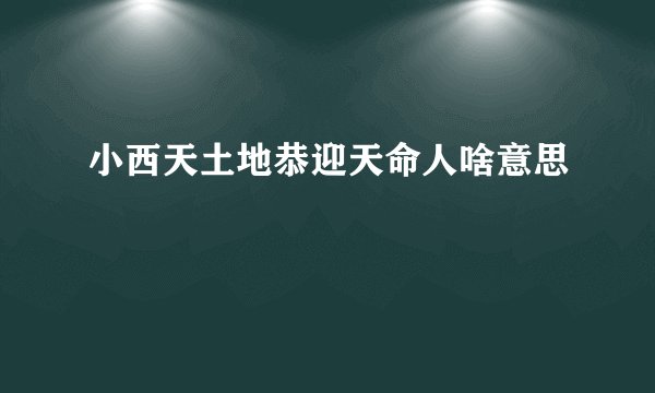 小西天土地恭迎天命人啥意思
