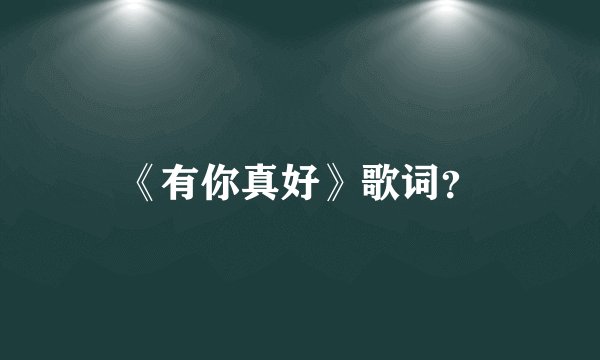 《有你真好》歌词？