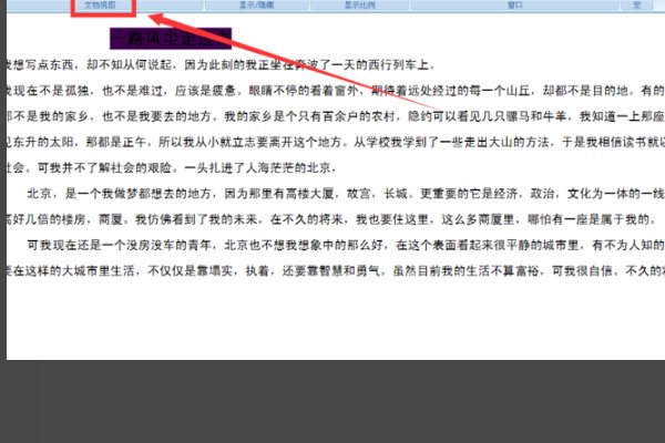 页面视图、普通视图、 Web视图有什么区别呢?