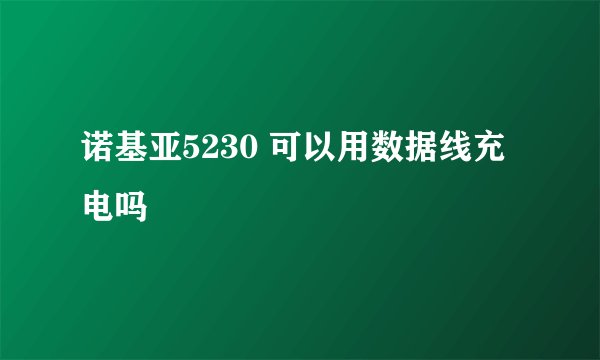 诺基亚5230 可以用数据线充电吗