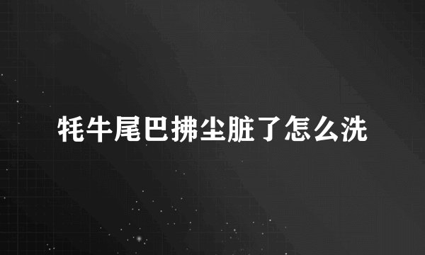 牦牛尾巴拂尘脏了怎么洗