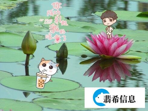 生灵涂炭