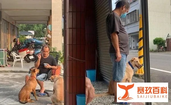 狗狗姐妹抢坐奶奶腿上，巨大瓦斯桶，挤3层肉卡中间：还有我