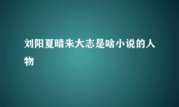 刘阳夏晴朱大志是啥小说的人物