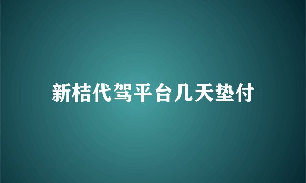 新桔代驾平台几天垫付