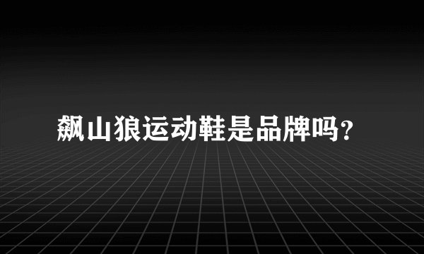 飙山狼运动鞋是品牌吗？