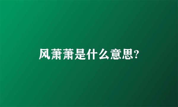 风萧萧是什么意思?