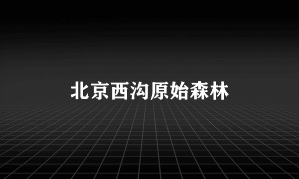 北京西沟原始森林
