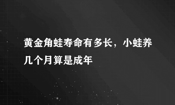 黄金角蛙寿命有多长，小蛙养几个月算是成年