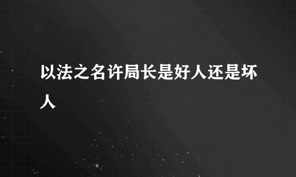 以法之名许局长是好人还是坏人